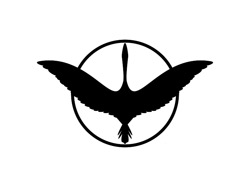 Sarus Aerospace
